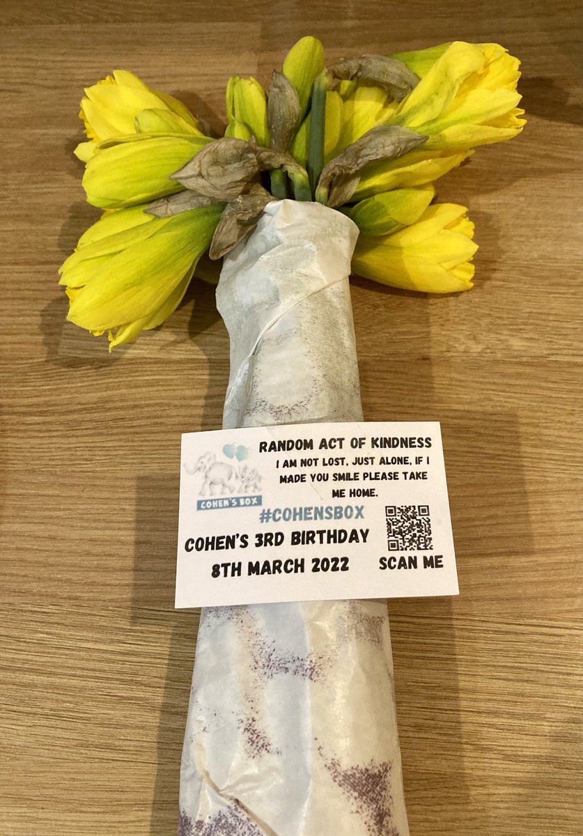 Traci Hull tweet media