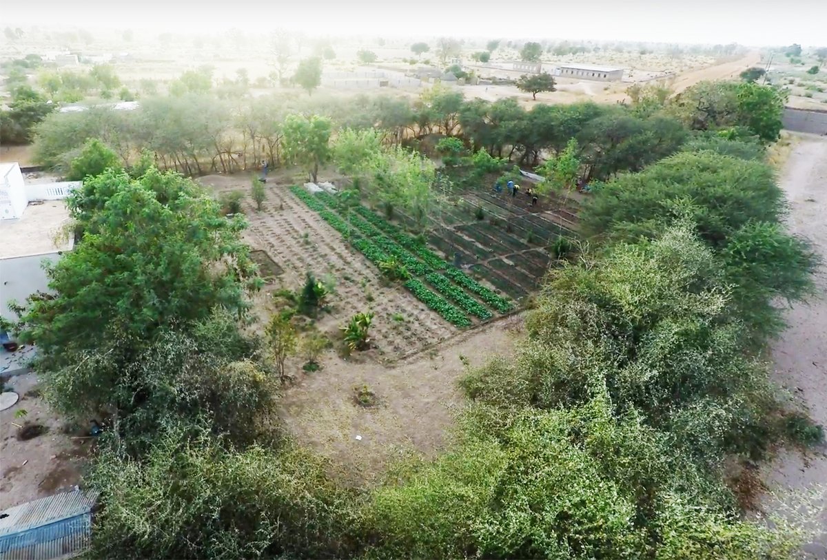 Treesftf's tweet photo. We train farmers in regenerative agriculture, restoring land and hope for families and communities. 🌳 

#ForestGardenApproach #RegenerativeAgriculture https://t.co/4LD6AbOwz8