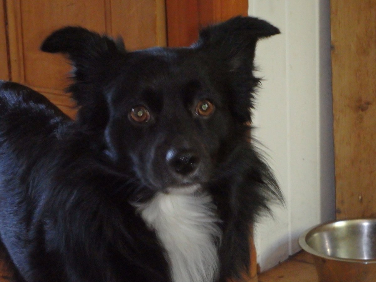 Pure Nuff Stuff tweet media