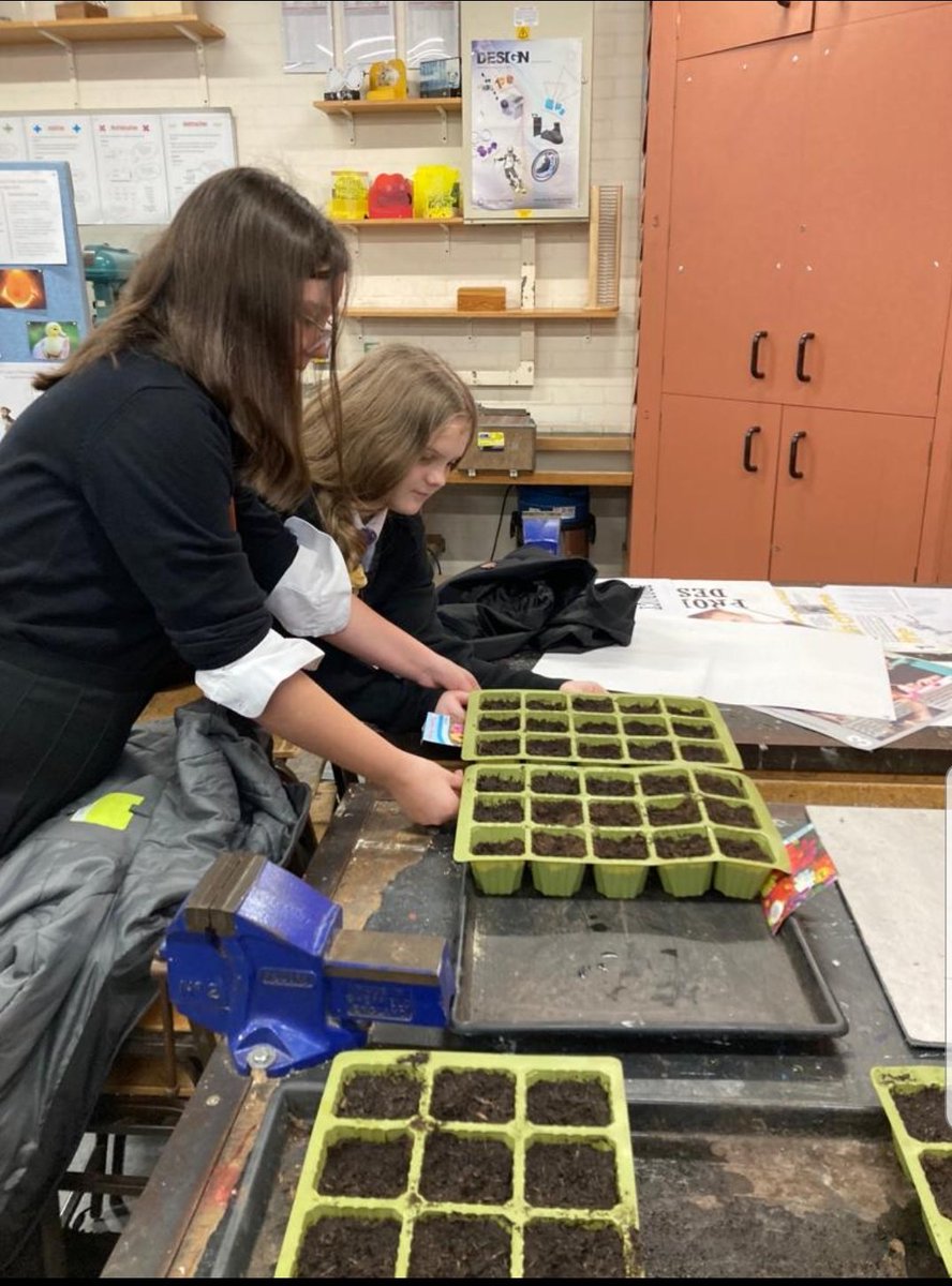 MrsDaviesDT's tweet photo. Spring ia definitely in the air @chepstowschool Year 7 pupils have begun to plant some seeds and have also been busy measuring and calculating planter sizes to minimise waste #challenge #sustainability #deepeningthinking #engagement https://t.co/4XX4YcdBom
