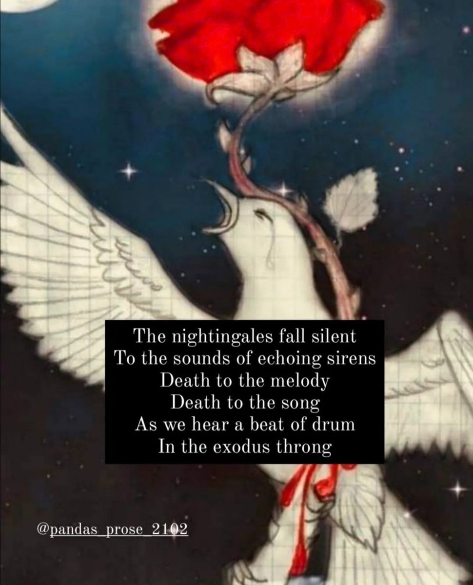 MirandaAvery12's tweet photo. Nightingale.. The national animal of the Ukraine 💛💙
Meaning harbinger of Spring, builder of homes, peace and happiness.
.. The nightingale will sing again
 #PeaceInUkraine #poem #nightingale #poetry #poetrytwitter #poetrycommunity #writer #poet
#WritingCommunity https://t.co/Lou0XnM7ND