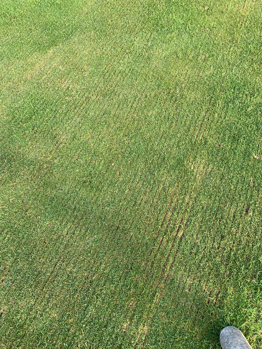BGCgreenkeepers tweet picture