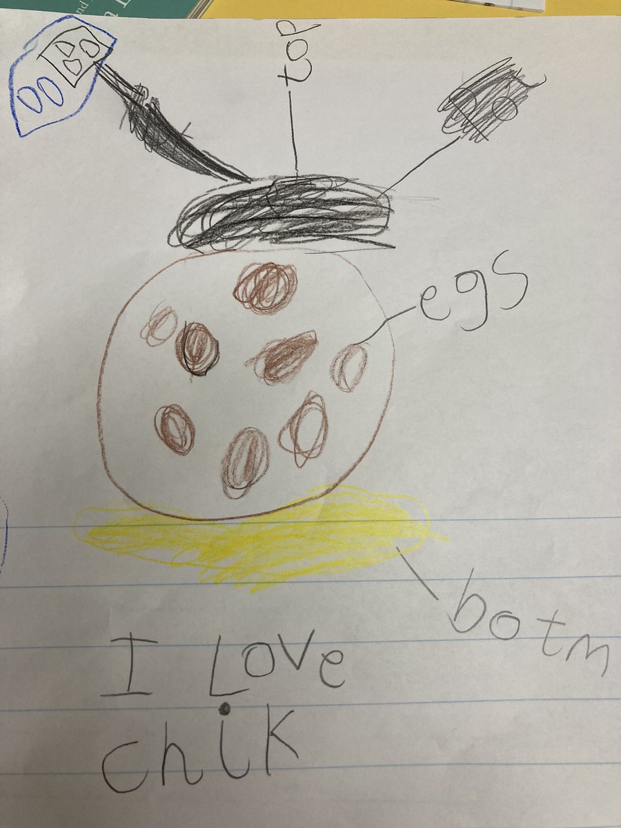 Reception_BG's tweet photo. 2/2 - They’ve also created drawings of the incubators. Some children have labelled their pictures, whilst others have been practising to write sentences. #BG #EYFS #Lifecycle #eggciting #markmaking https://t.co/ZQqY1pz40A