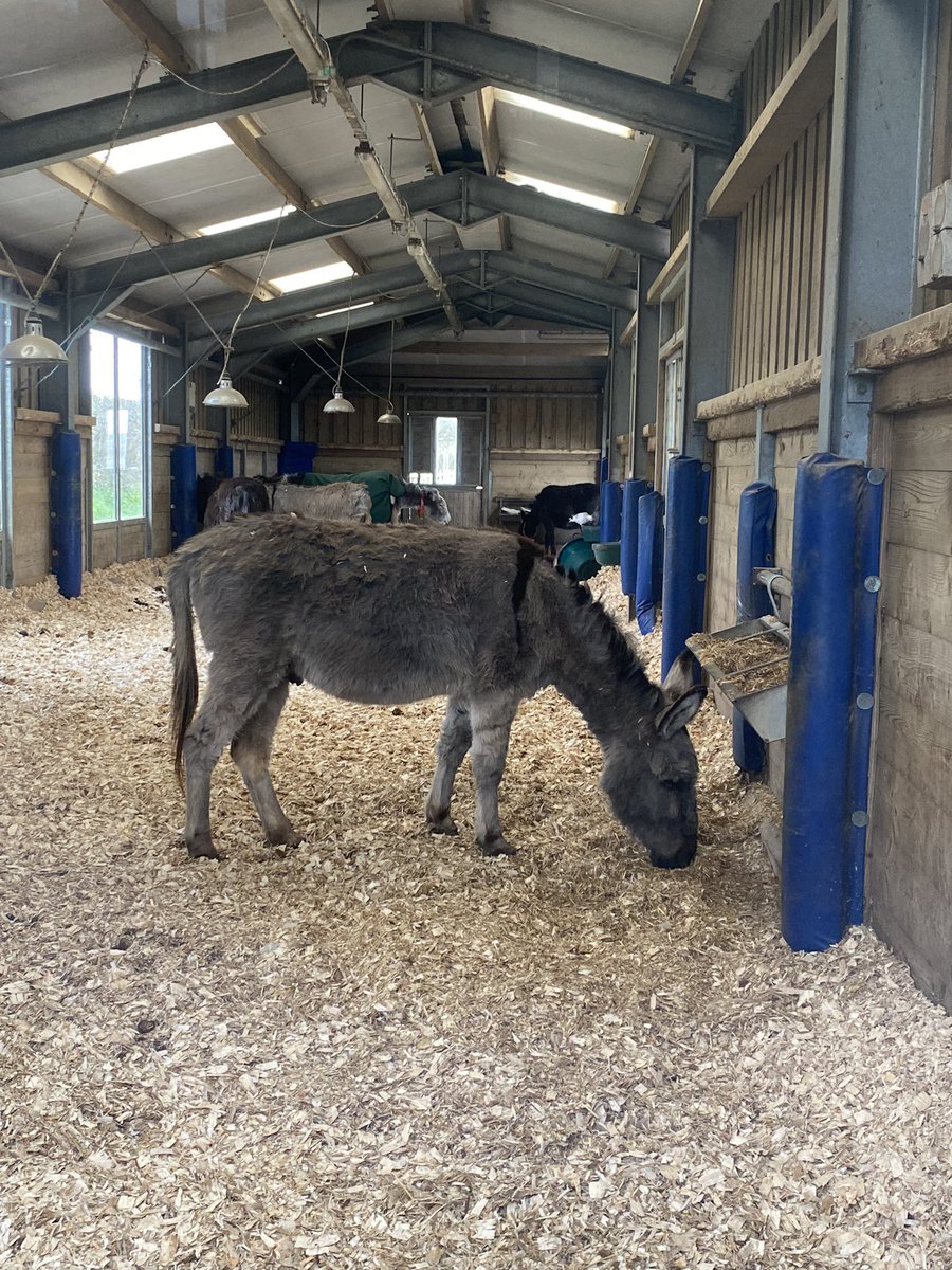 Louise McColm tweet media