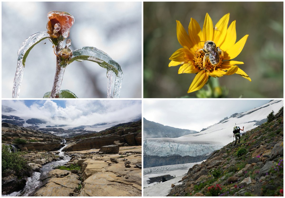 usgcrp's tweet photo. This month, we'll explore the impacts of seasonal shifts brought on by #climatechange—warming winters, #snowpack melt, early springs, extreme #weather and more. Follow our feed to learn from some fantastic resources! #NCA4 #CSSR #climatereport #globalchange https://t.co/odCeuSPIYu