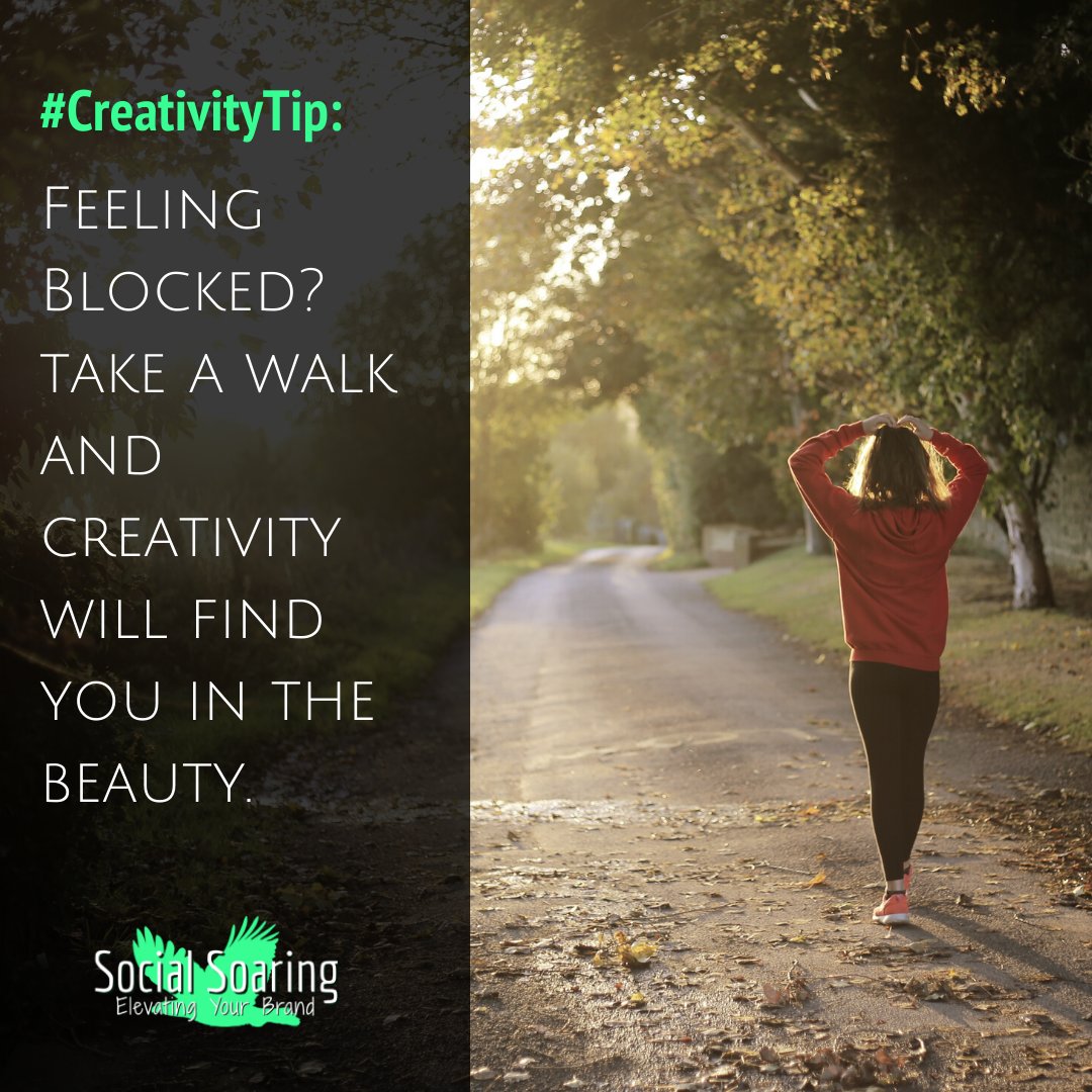 _SocialSoaring's tweet photo. .
Nature opens the windows to the soul.
If you need to let your CrEaTivItY flow, immerse yourself in it for a moment!! πππ¦
.
.
#creativitythoughts #takeawalk #natureawakensthesoul #immerseyourself #trythis #creativityblock https://t.co/6jlhecKS7V
