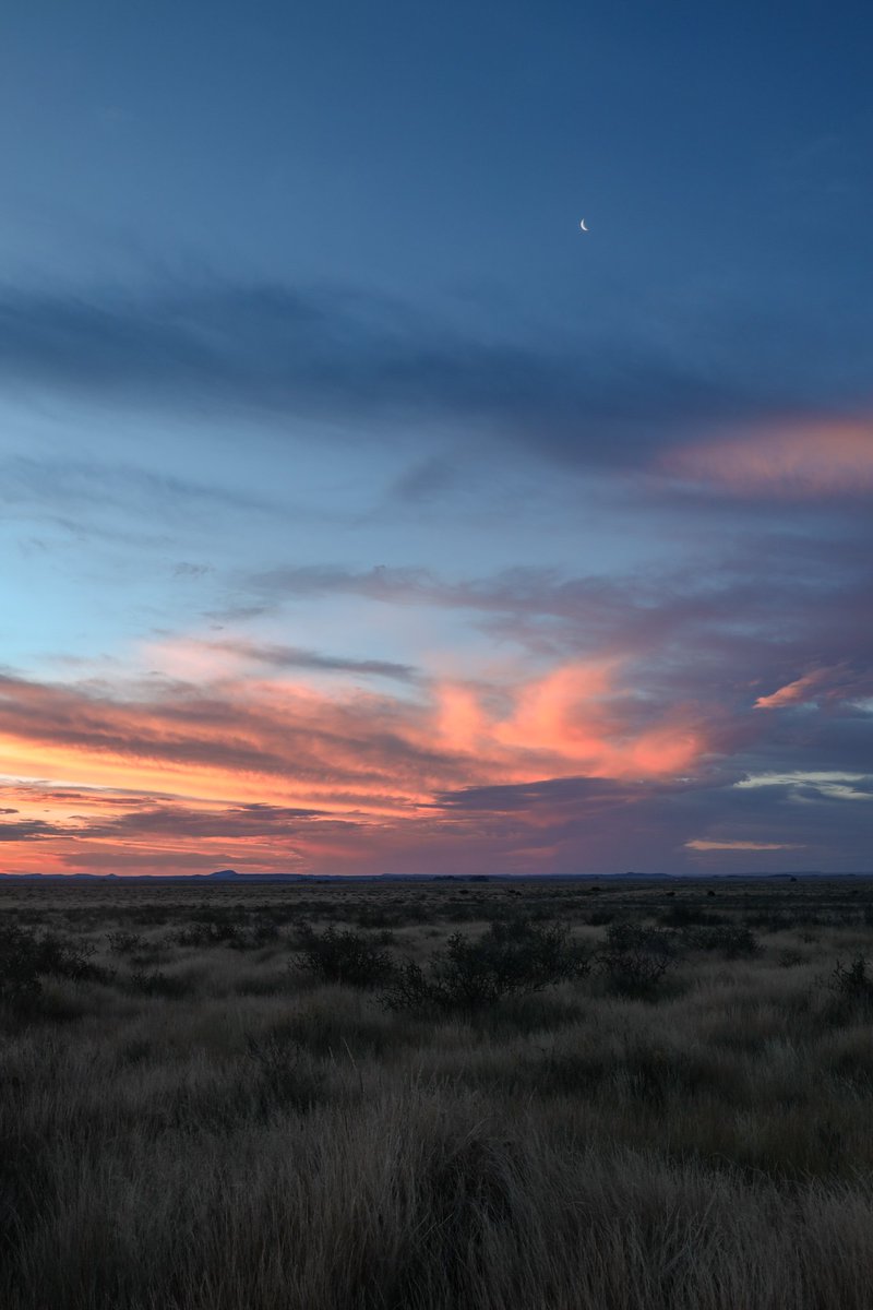 A҉N҉D҉R҉É҉ Onrehabiliteerbare Afrikaner©™ tweet media