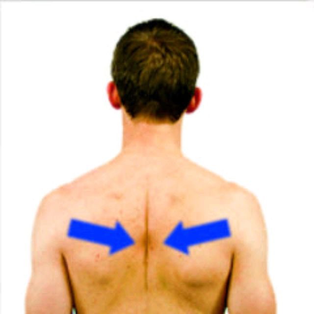 niccivalept's tweet photo. 1 of the most crucial parts of maintaining a healthy throwing 💪🏼is what you do off the field-POSTURE is key! Keeping your chest flexible and your mid-traps activated puts your shoulder in an anatomically less stressful position
Rec: 10 reps, 2s hold, 5-10x/day
#baseballtherapy https://t.co/9RPoerWYY6