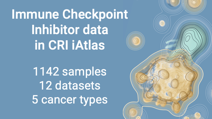 iatlas_cri's tweet photo. Explore immune analysis of 1142 samples, across 12 datasets, from studies of response to Immune Checkpoint Inhibitors (ICI) at https://t.co/TcSyKNPFGZ. Big thanks to our collaborators @bgvincentlab of the @UNC_Lineberger for all the work in processing and harmonizing these data! https://t.co/M1MpTz73aF