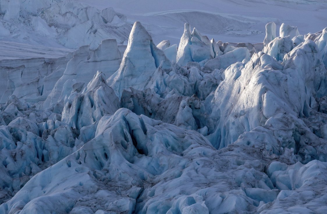 Colin Tennant tweet media