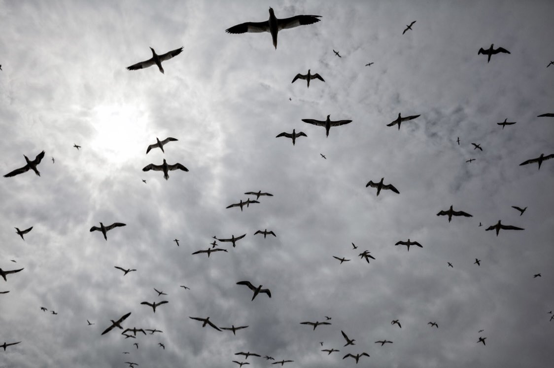 A sincere thank you to everyone who shared, retweeted &amp; purchased these prints from myself &amp; <a href="/saskiacoulson/">Saskia Coulson</a> as part of <a href="/PhotoPrintDay/">Photo Print Day</a> . The prints raised £120 for charities providing essential aid in #Ukraine️. Very proud to be a part of this collective initiative ✊🏻