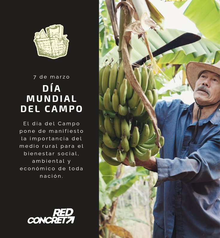RConcreta's tweet photo. Día mundial del Campo🌾

Recordemos siempre la importancia del campo para el desarrollo económico de un país, y reconozcamos la importante labor de los campesinos que día con día trabajan en estos lugares y le ponen empeño a las cosechas.👩‍🌾

#RedConcreta #DiaDelCampo #FelizLunes https://t.co/paslFThwJI