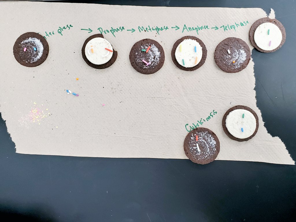 Cynthea Conway tweet media