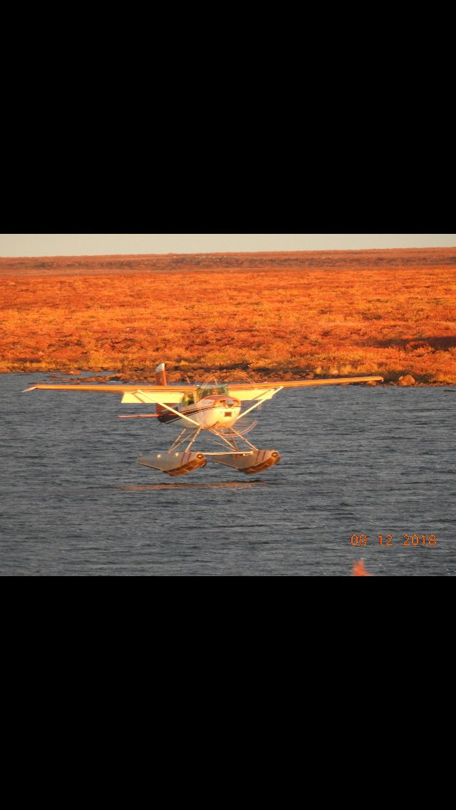 AniUluadluak4's tweet photo. My buddy Jr landing at camp lake, can’t wait till fall to hunt up there. #waterplane #landing https://t.co/S2QvIbtAFM