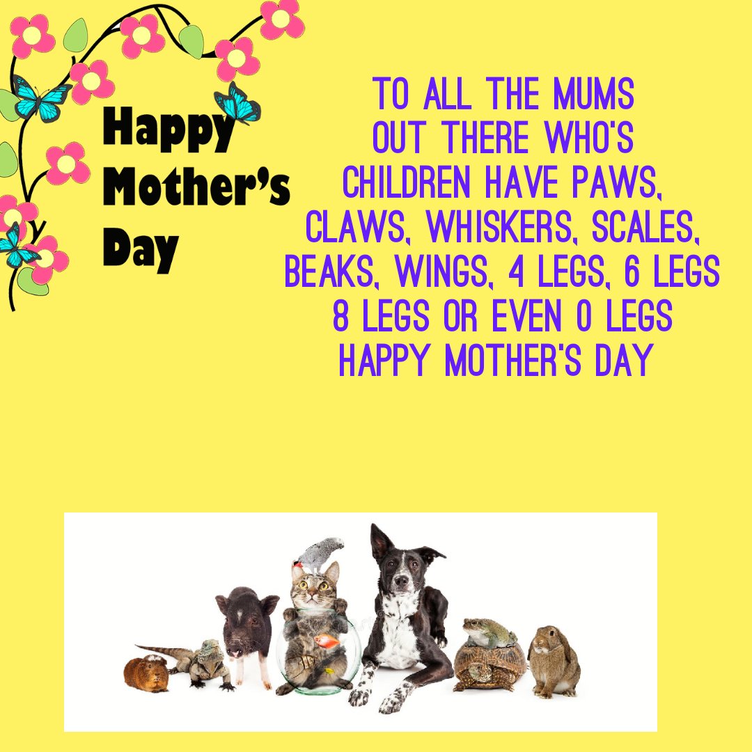 To all our lovely mums to all our pets (&amp; human babies too of course!) Happy Mother's Day!
We hope you have a lovely day no matter how you chose to spend it
From all of us here at ACT and our pets x
#animalcancertrust #letsbeatcancer #fightingcancerinourpets #mothersday #furmum