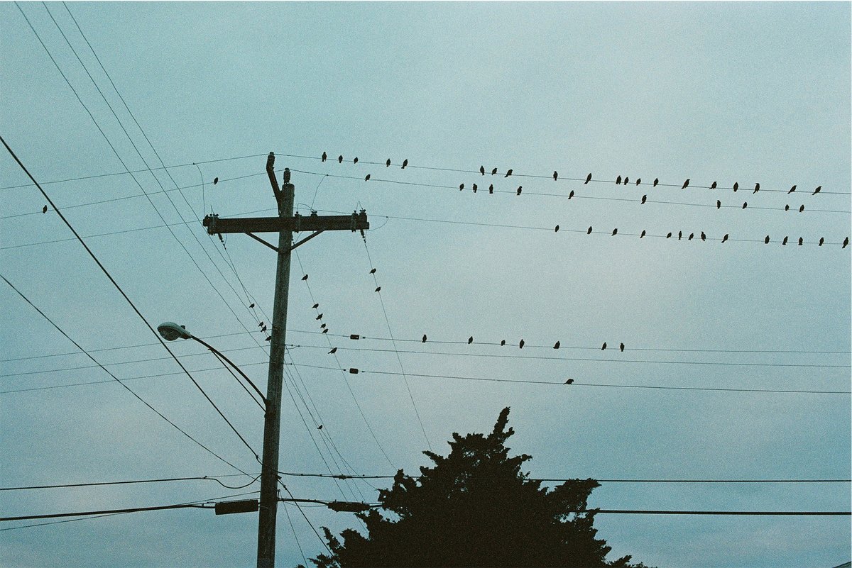 sofonisba__'s tweet photo. I just listed the second half of the collection EDGES

#nftcollectors COME ON ME 🙌

https://t.co/Fak3lPucYF

#NFTartist #NFTCommunity #NFTs #nftphotography #filmphotography https://t.co/d6vrzNFneQ