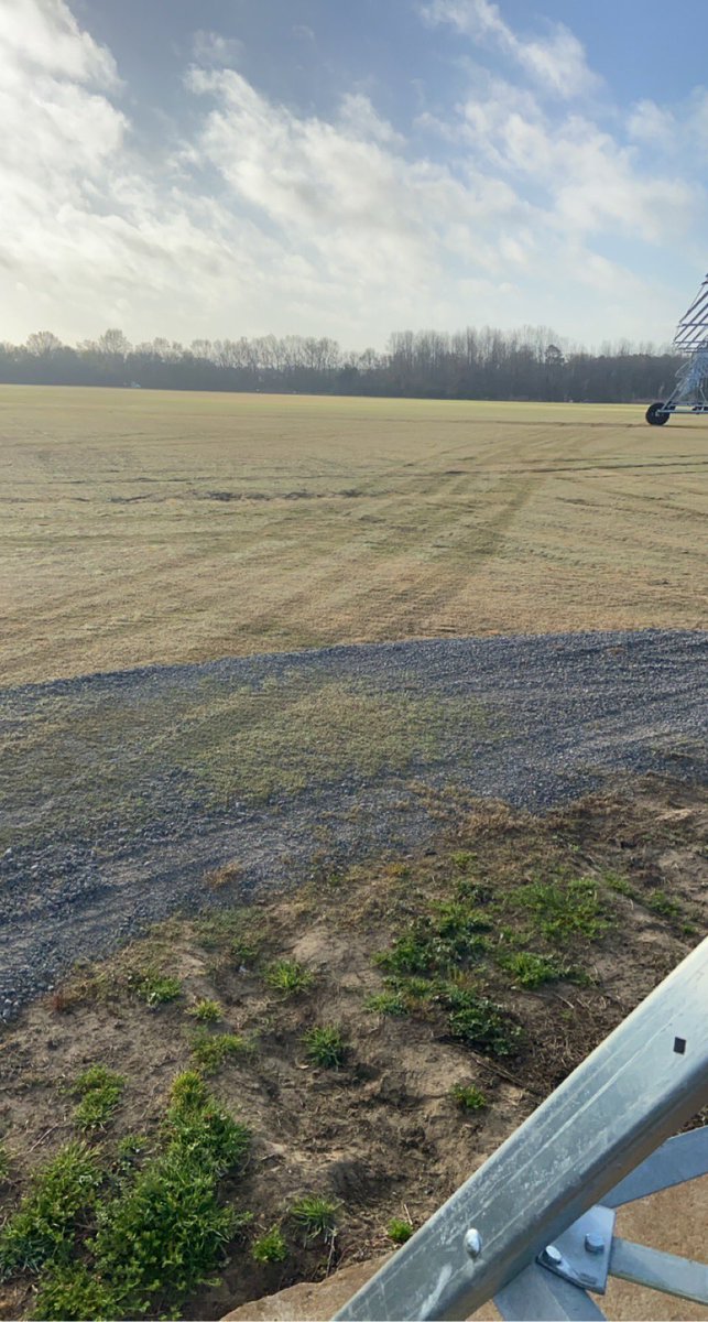 Beautiful day here in Norway, SC! Looking forward to some warm weather today! Grass is greening up, which means it’s our favorite time of the year! #mycarolinasmorning