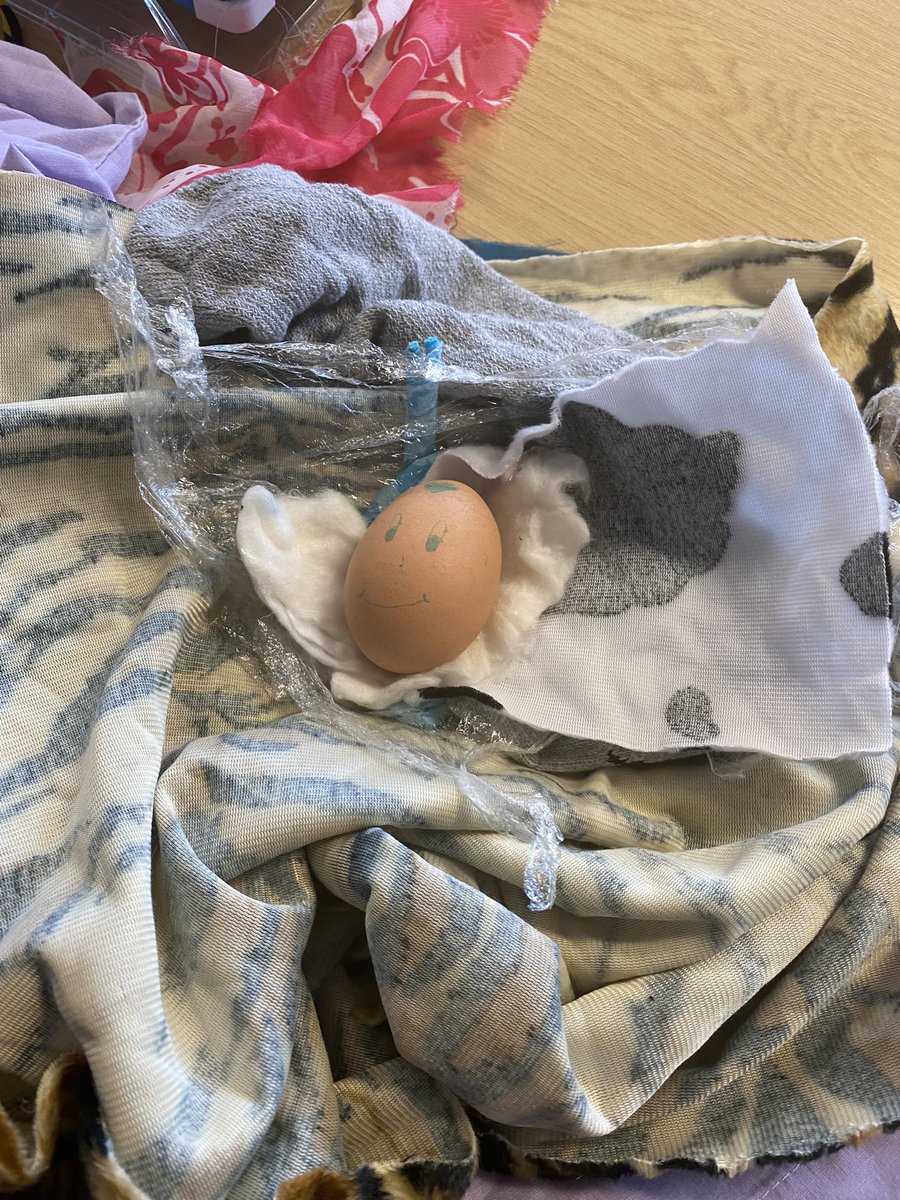Learning about health privilege and social class using eggs!
#healthandsocialcare #crawleycollege