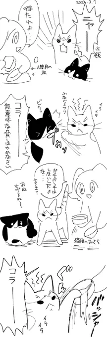 日記です 猫 
