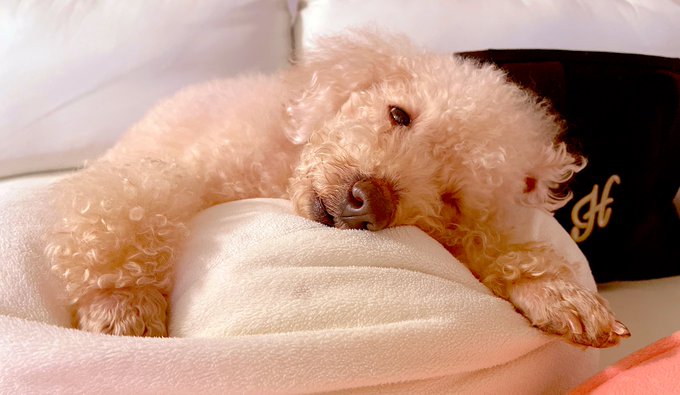 振り返ったら、可愛すぎて無理&hellip;&hellip;.🤤🤤💜 https://t.co/AhZeMatPeP