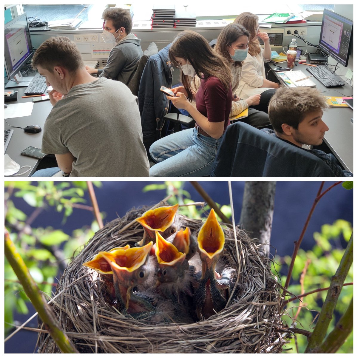 delaconcepcionj's tweet photo. Dagdas lab new breed π€π₯π£π₯π£#ScienceChicks #FutureLeaders https://t.co/v8Dl6CC5MH