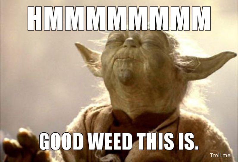 ReeferAlJoint's tweet photo. Morning good 😊 https://t.co/VvBYGWN33W