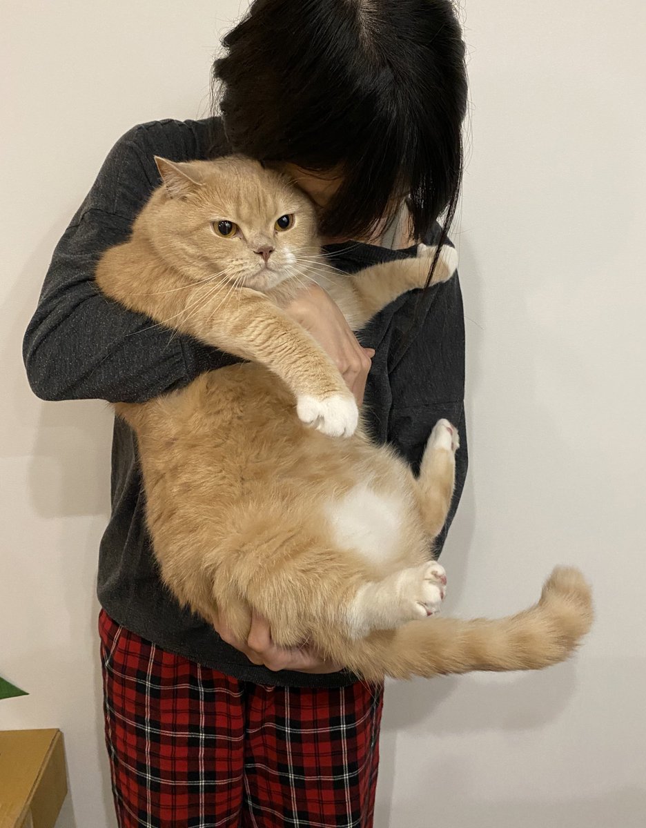 만두가 큰 건지 내가 작은 건지…