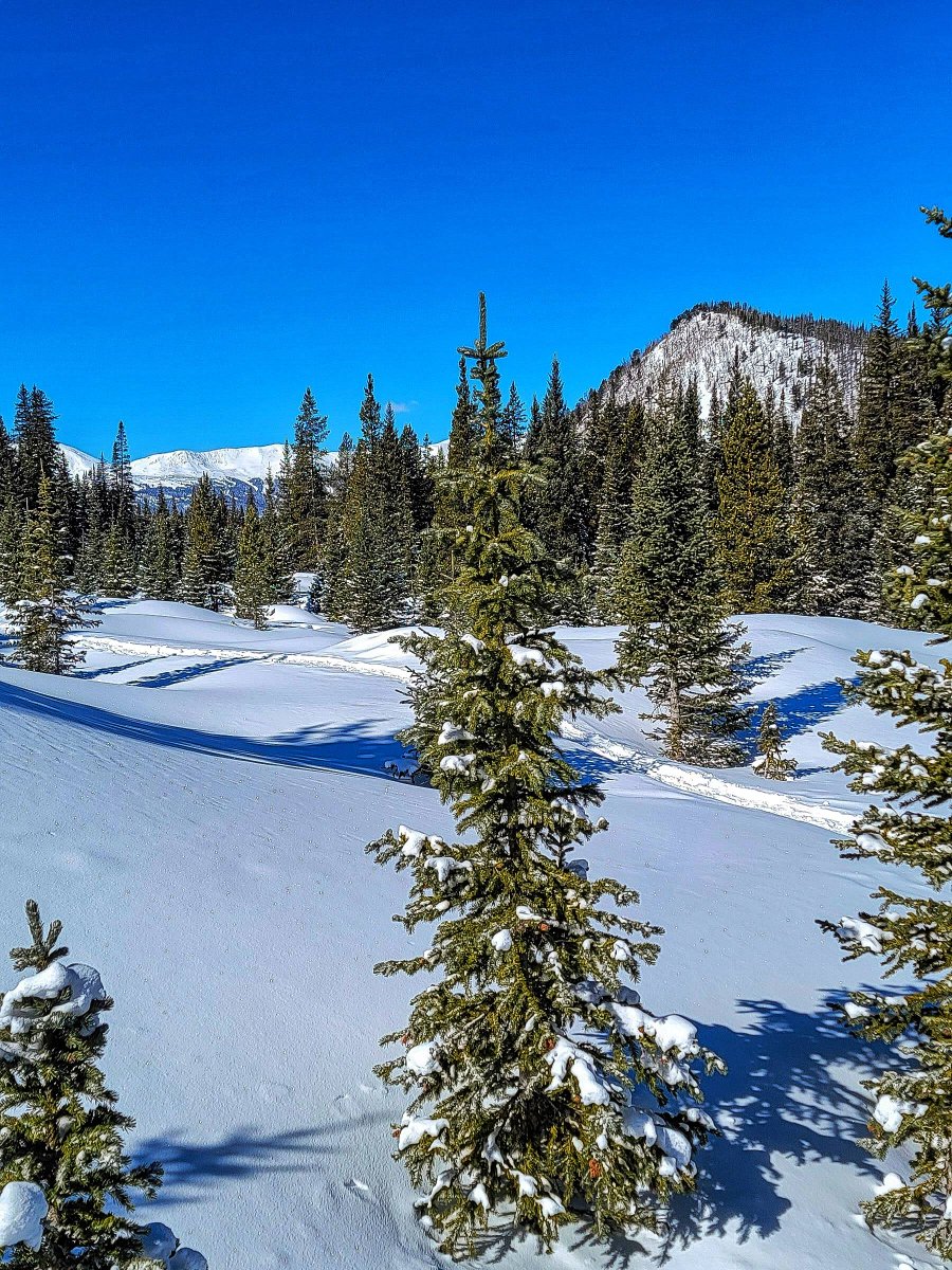 wander4insp's tweet photo. Making our way to the Sallie Barber Mine in the French Gulch Mining District, located a few miles east of Breckenridge.
#VisitBreck #ColorfulColorado #RockyMountains https://t.co/XP69Ehd3Mr