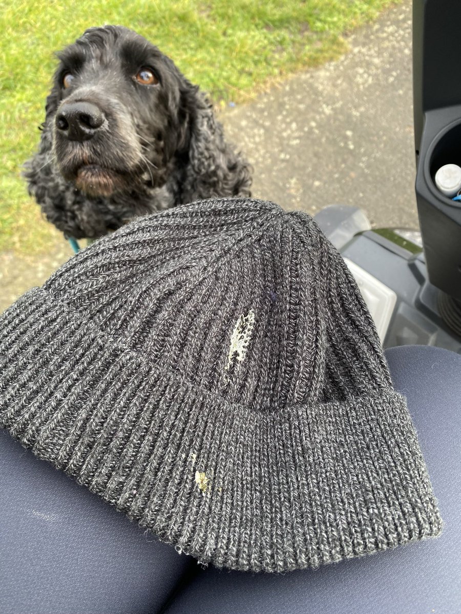 Tyler and Maya’s Tales tweet media