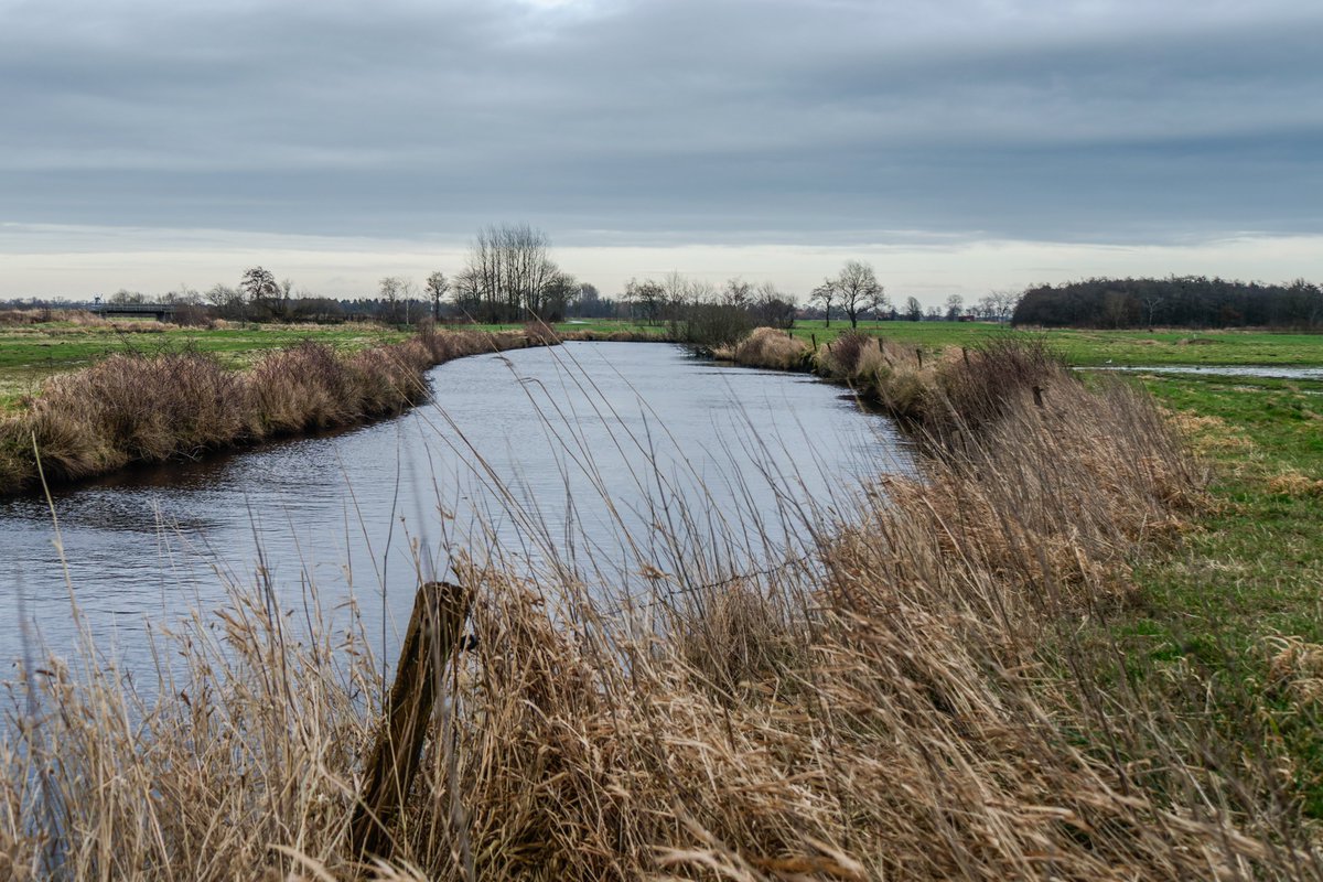 foto_ihlow's tweet photo. Die Wiegboldsburer Riede.  Foto: Saathoff  #photos #fotografia #fotografie #ostfrieslandfotos #heimat #pictures #kunsthalleemden @EmderZeitung
 #Ostfriesland #nature #Wasser    websites:   https://t.co/UOdwXc6zCy https://t.co/Sp7KWVA9Zc