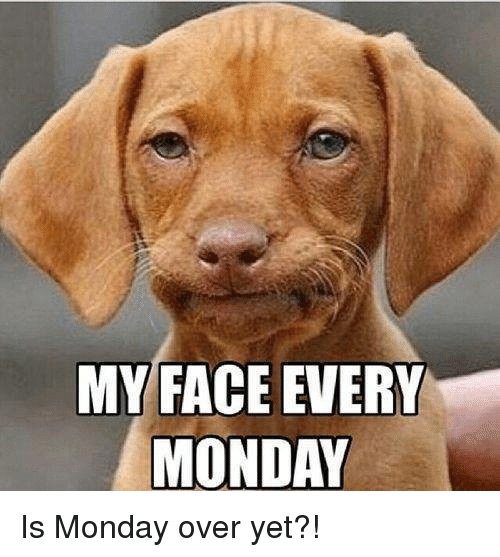 BugoutBrigade's tweet photo. #GDIM "happy" Monday y'all.🙄 #iswhatitis #f4f #FolloMe #follo4folloback #follo4follo https://t.co/kF54A5cZWx