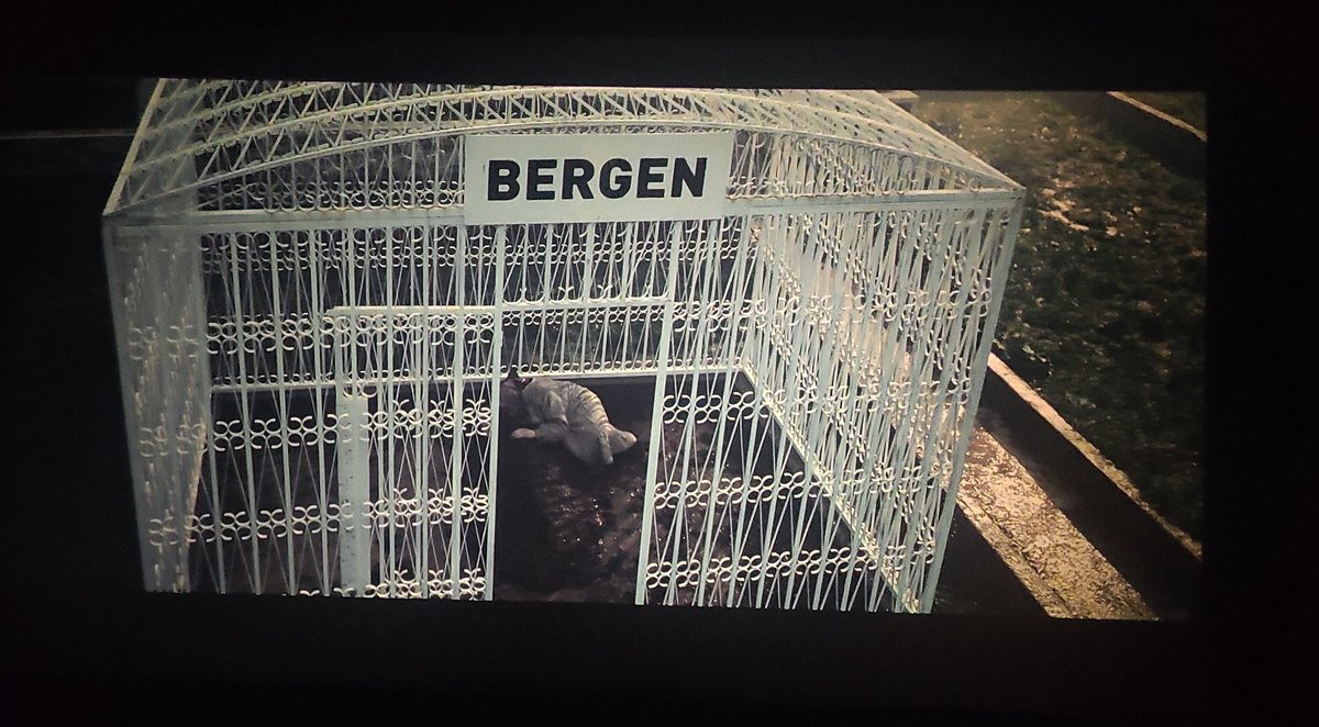 Söylenilenden çok daha fazlası #bergen 
#FarahZeynepAbdullah