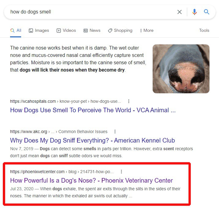 BANGwsd's tweet image. SEO: 5 Easy Tips to Boost Your Local Search Rankings: lttr.ai/txZK

#Veterinarian #LocalSearchRankings #BusinessGrow #OnlinePresence