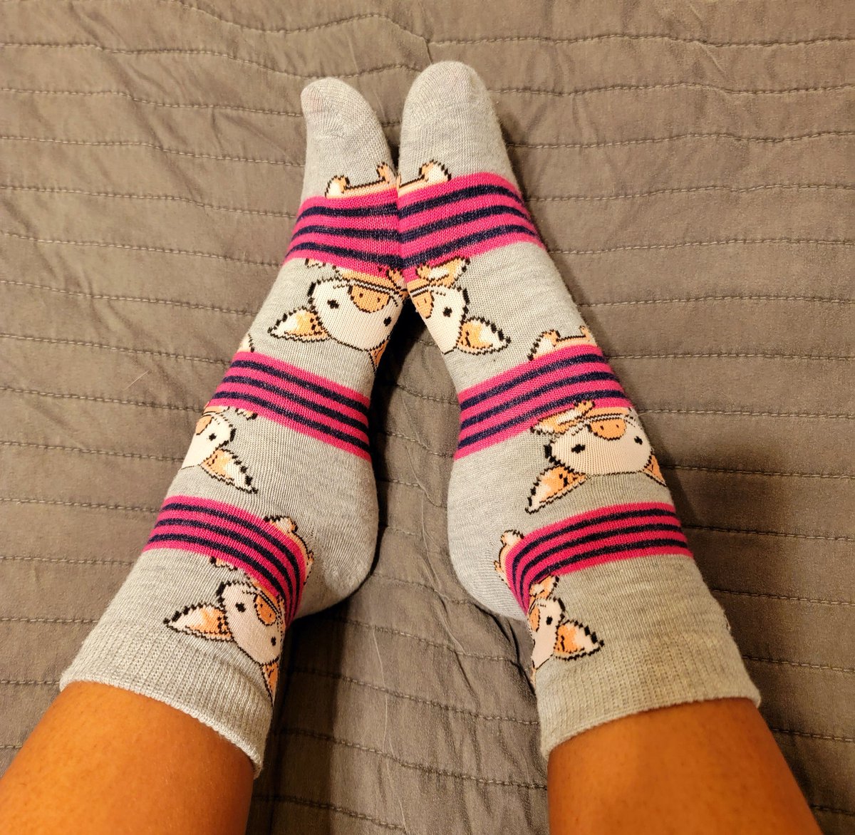 StepOnMe678's tweet photo. Decided to stick with the animal theme. Happy Monday!

#sockoftheday #socks #Feet #feetworshi̇p #AllThingsWorn https://t.co/BT6s6gTllu