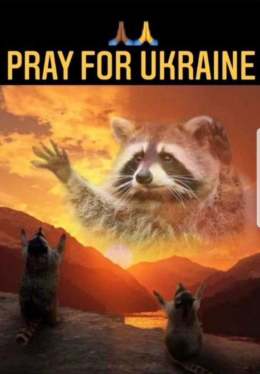 samestruggleinc's tweet photo. How some of yall look praying for Ukraine. #Racefirst #BlackTwitter #BlackPeople #BlackOwned https://t.co/cbPxbKdDxl