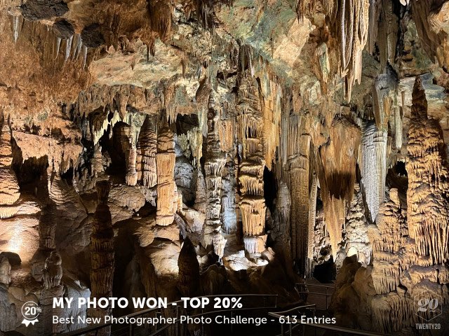 dariusbgibbs's tweet photo. My photo was picked in the Top 20% in the Best New Photographer challenge on @twenty20. https://t.co/ZhyCAG55rU https://t.co/QNmEjbGWzd