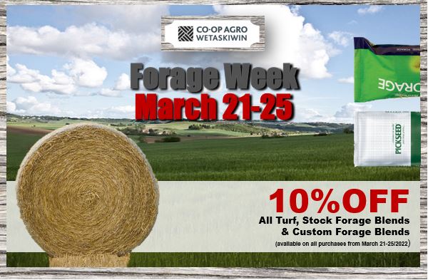 Have you been planning on putting in a new forage crop this year? All Turf, Stock and Custom Forage Blends are ON SALE March 21-25th at the Wetaskiwin Co-op Agro site. Contact today to find out how to save 780-352-3359