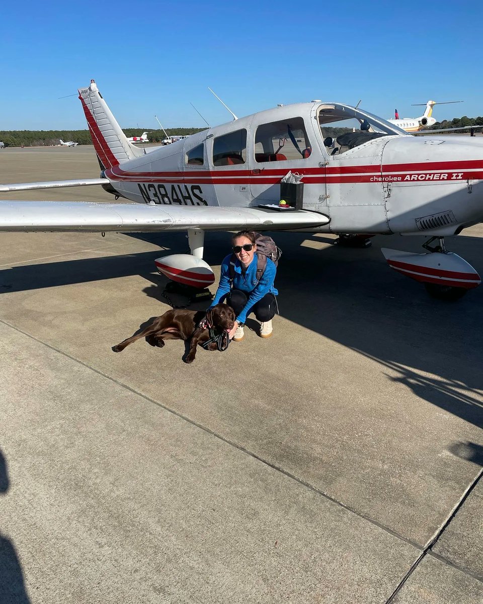 PilotsNPaws's tweet photo. Maisie hitched a ride to her new forever home this past week! Originally living at a kill shelter in TN, her future forever family fell in love with her through the shelter’s FB post. Thanks to Pilot Cameron &amp; shelter staff who helped Maisie get from TN to her new family in NC! https://t.co/KO9OAMwMa7