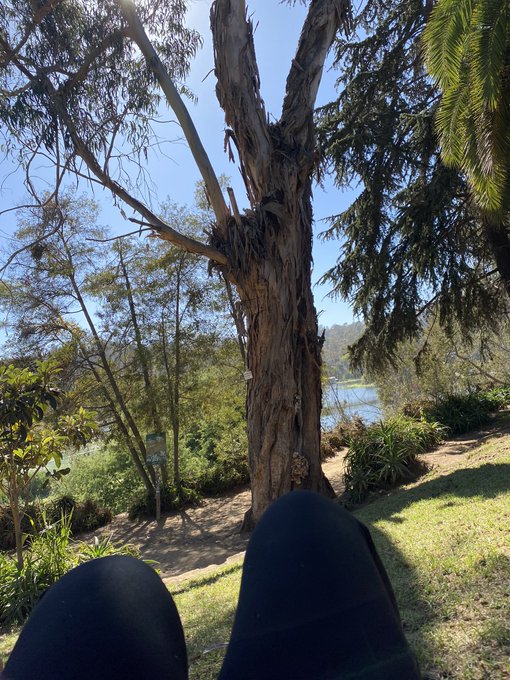 Momento ventana 💖 https://t.co/KIP6tEo8sv