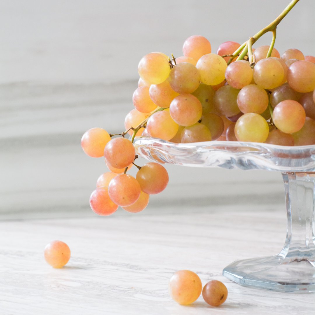 FruitsfromChile's tweet photo. Have you tried Muscat Grapes yet? Muscat grapes are a unique grape variety from Chile, with a flavor and color that sets them apart. They have a delicate, sweet musky floral taste and are so pretty. Muscats have a short season so enjoy them while you can! 🍇 https://t.co/82a6zDlq6K