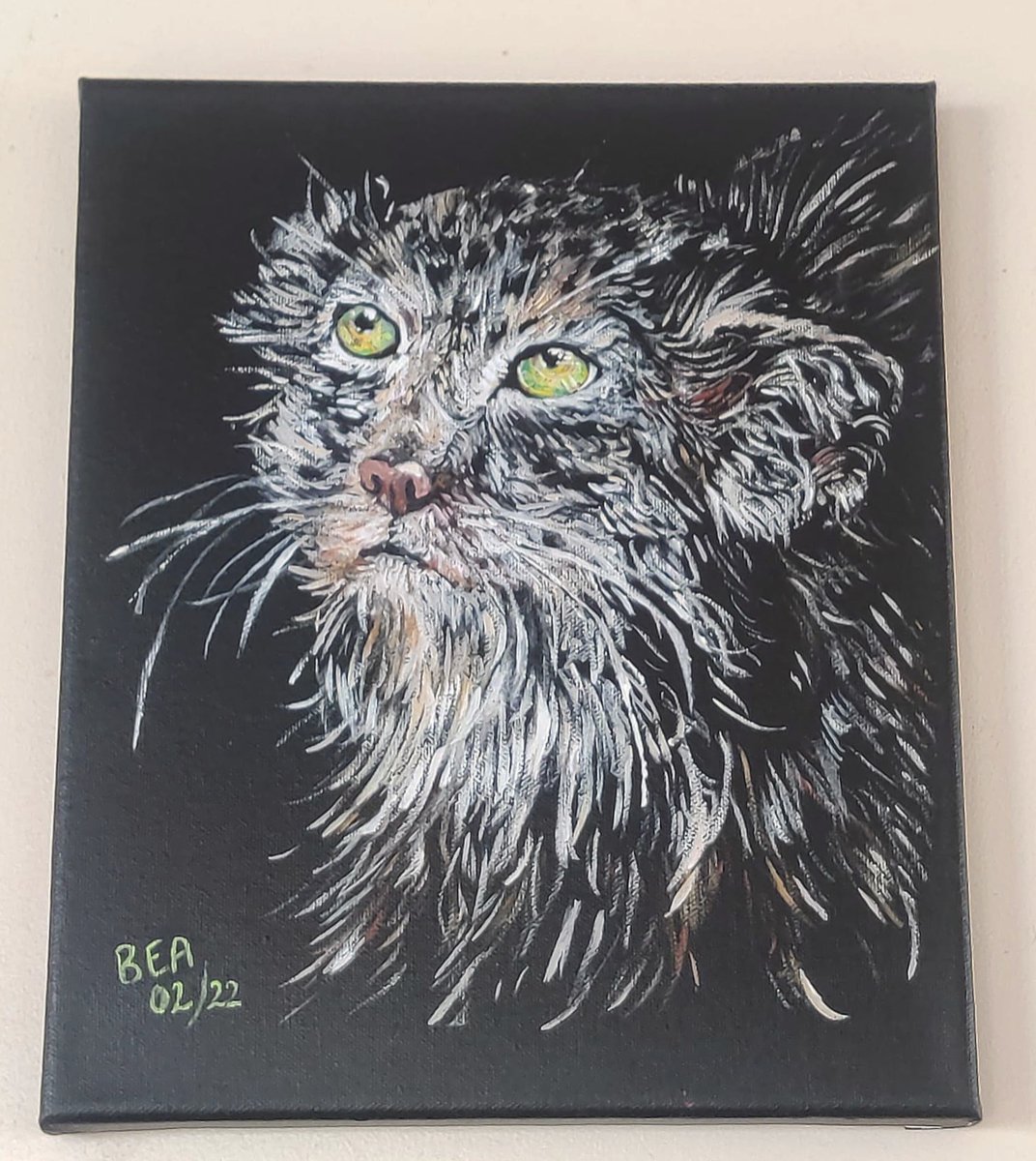 Pallas cat! I adore these oddballs that look like fluffy rocks. I feel like this will be the first of many paintings. 🐈 

#art #cats