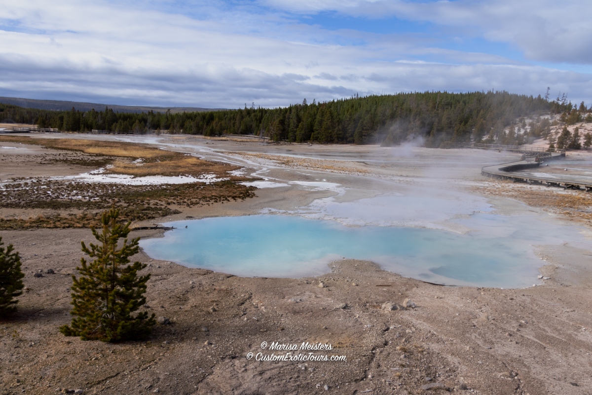 WorldwideXplore's tweet photo. Not sure how to begin planning your #Yellowstone visit? Let our FREE planning guide help: https://t.co/1stsJHvEtZ

#NPS #ALTNps #nationalparks #otherworldly #travelwithus #uniquetravel #offthebeatenpath #NorrisGeyserBasin #fumarole #WildWest https://t.co/NtdeGGDThk