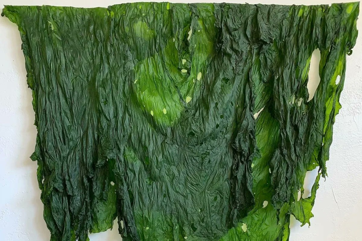 artistsnclimate's tweet photo. For her latest post in the Imagining Water series, Susan Fishman spotlights artist, writer, and researcher Christina Conklin, who focuses on the ocean in the context of the climate crisis. https://t.co/7ZkyN3vfes https://t.co/HnCxxjJcVu