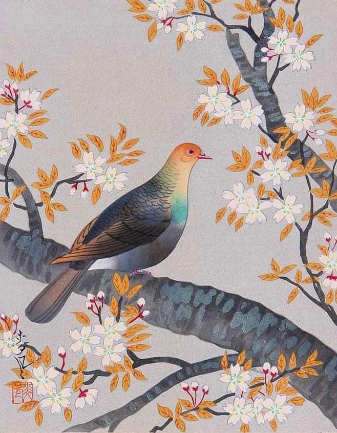 японская ксилография охара косон. японские птички. Zhao shao'ang художник. охара косон картины. японские птицы.