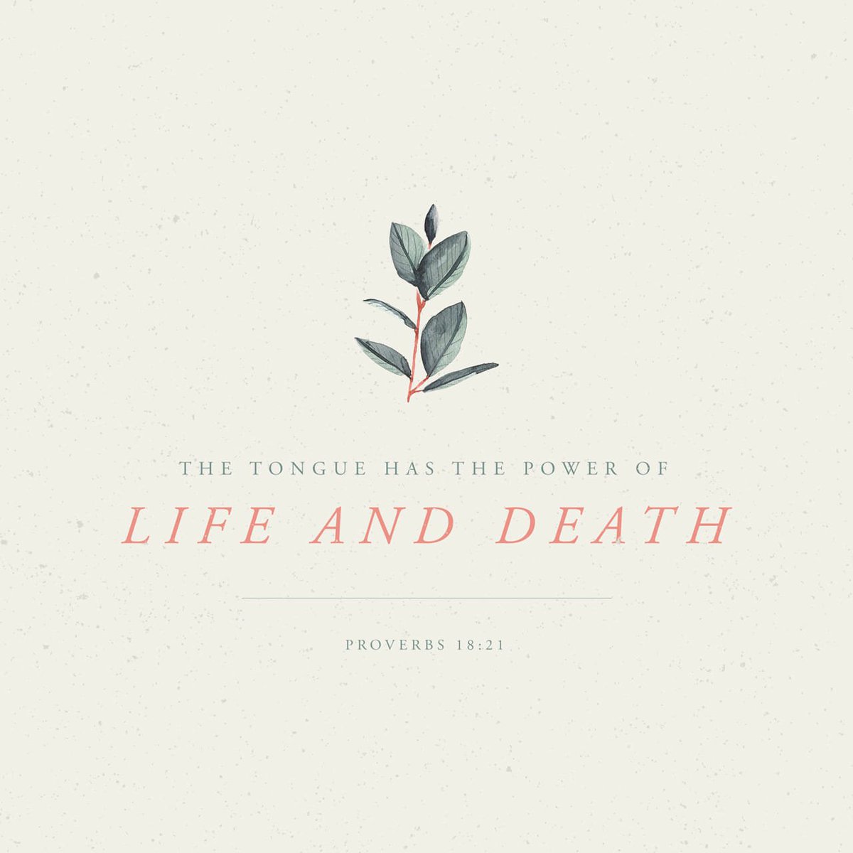 gray_kurt's tweet photo. What are you speaking today? #meek https://t.co/aNWKVOTRjU https://t.co/PbpfO24NHU