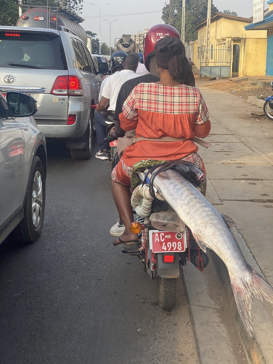 Sale temps pour les gros poissons 🇬🇳