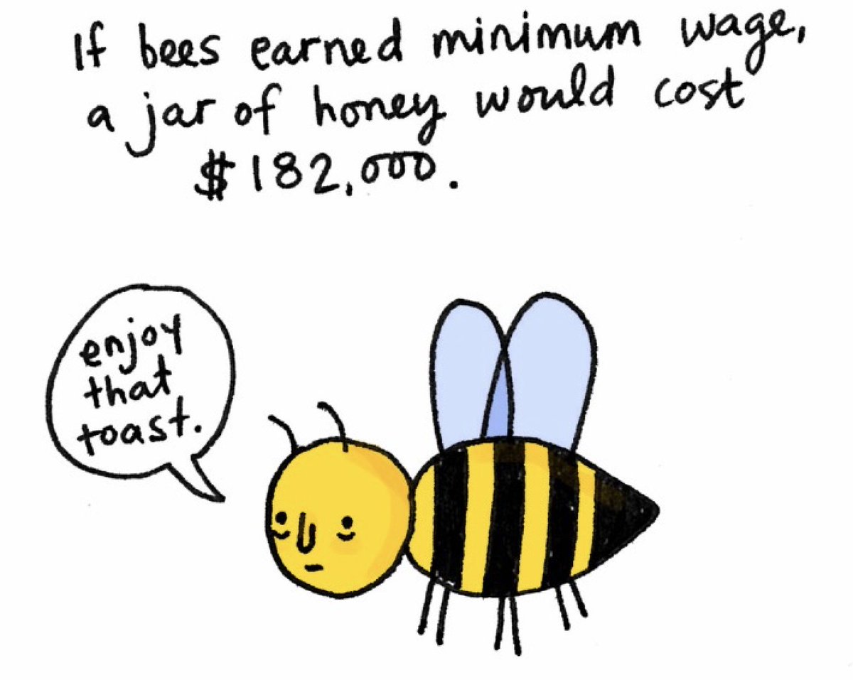 Just a friendly reminder to thank a bee for the deliciousness of their hard work.
