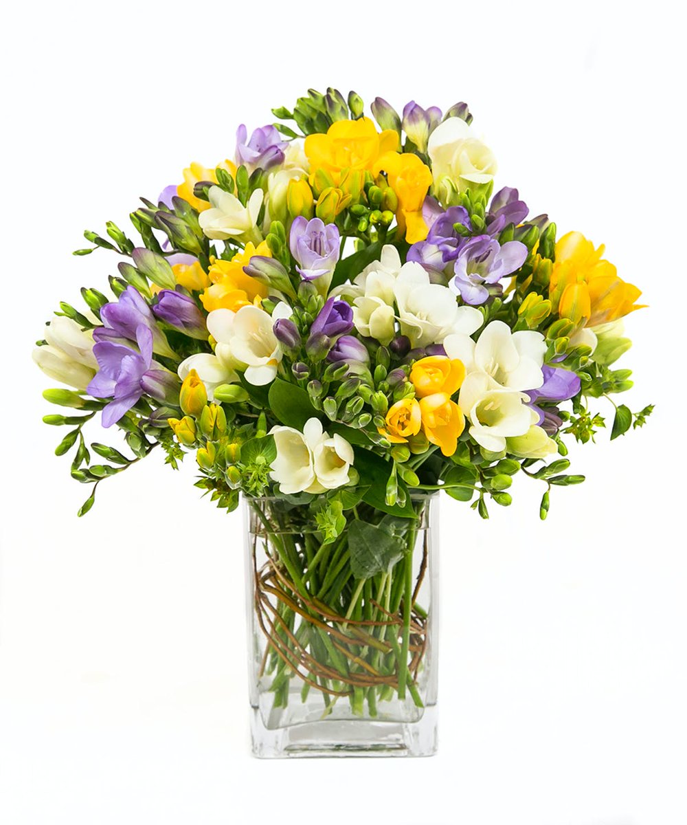 csflorist's tweet photo. Get your #floralfix this week with our dreamy display of mixed #Freesia. 😍💐🙌
https://t.co/OxdLolH4Fx https://t.co/O7OI3Fqxwa