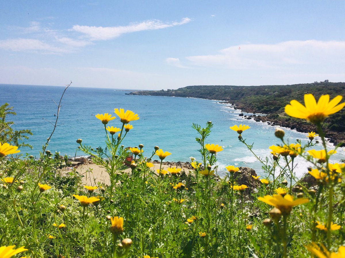 AnnitaPieridou's tweet photo. Eventually we got a great weather for a Green Monday and for a long walk in a nature trail. #beautifulCyprus #CavoGreco https://t.co/3lPLTApqVr