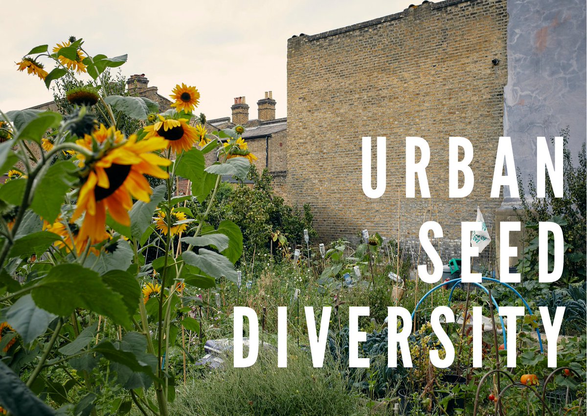 Southeast England Seed Sovereignty tweet media